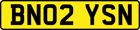 BN02YSN