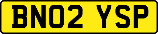 BN02YSP
