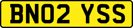 BN02YSS