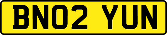 BN02YUN