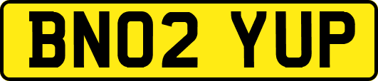 BN02YUP