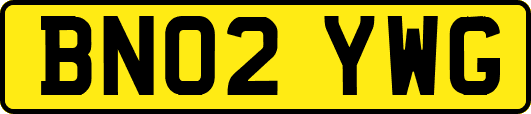 BN02YWG