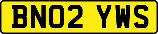 BN02YWS