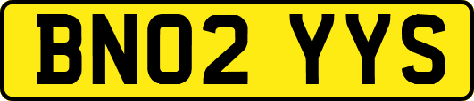 BN02YYS