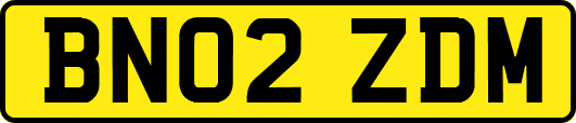 BN02ZDM