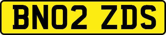 BN02ZDS