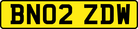 BN02ZDW