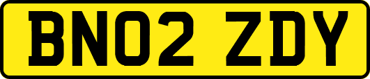 BN02ZDY