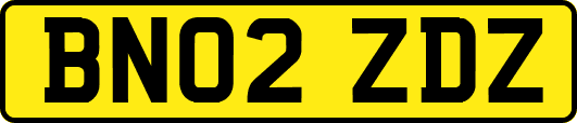 BN02ZDZ