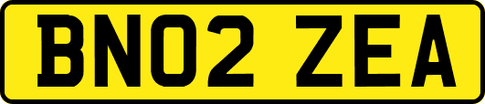 BN02ZEA