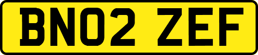 BN02ZEF