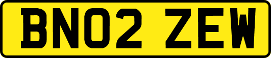 BN02ZEW