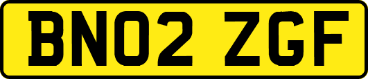BN02ZGF