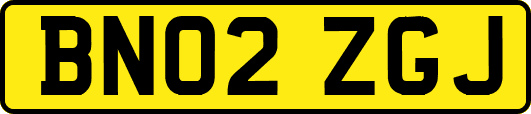 BN02ZGJ