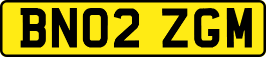 BN02ZGM