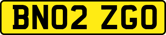 BN02ZGO