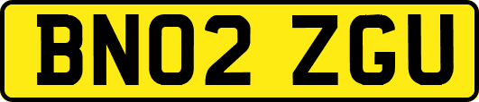 BN02ZGU