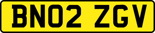 BN02ZGV