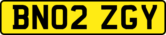 BN02ZGY