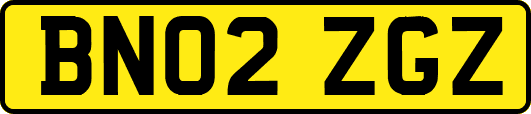 BN02ZGZ