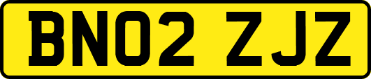 BN02ZJZ