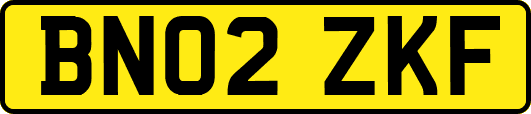 BN02ZKF