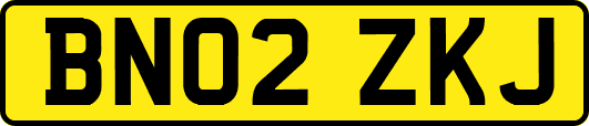 BN02ZKJ