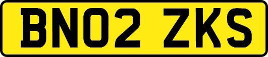 BN02ZKS