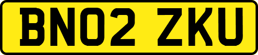 BN02ZKU