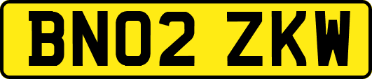 BN02ZKW