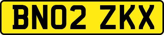 BN02ZKX