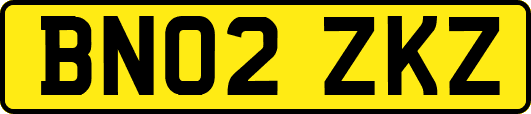 BN02ZKZ