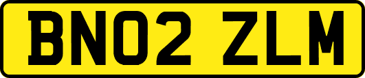 BN02ZLM
