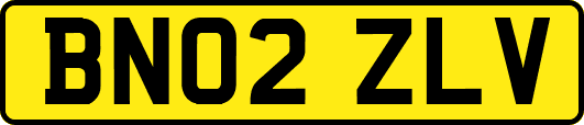 BN02ZLV