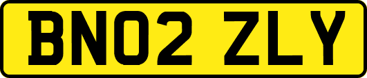 BN02ZLY