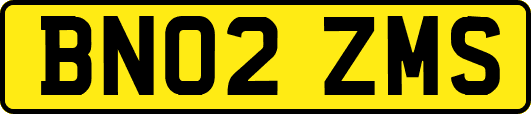BN02ZMS