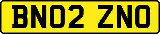 BN02ZNO