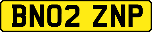 BN02ZNP