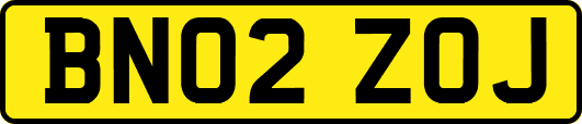 BN02ZOJ
