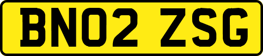 BN02ZSG