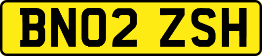 BN02ZSH