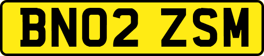 BN02ZSM