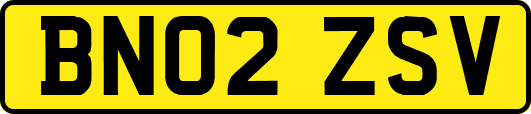 BN02ZSV