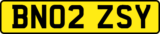 BN02ZSY
