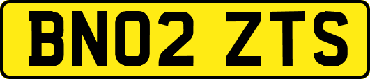 BN02ZTS