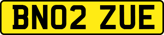 BN02ZUE
