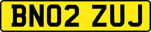 BN02ZUJ