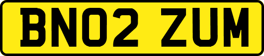 BN02ZUM