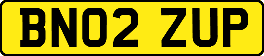 BN02ZUP