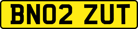 BN02ZUT
